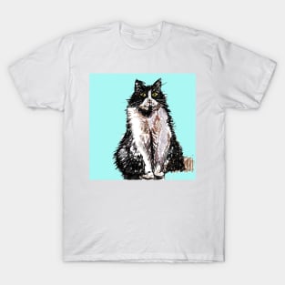 Tuxedo Cat Cute Drawing - on Turquoise T-Shirt